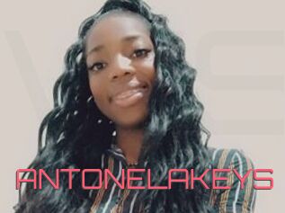 ANTONELAKEYS