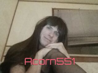 Acorn551