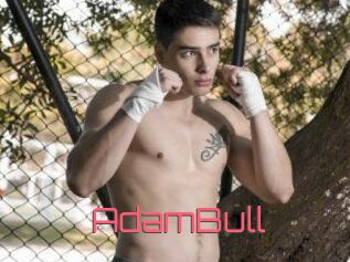 AdamBull
