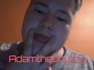Adamtheboytoy