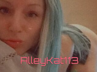 AlleyKat113