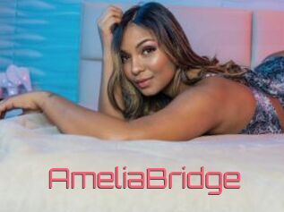 AmeliaBridge