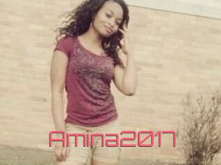 Amina2017