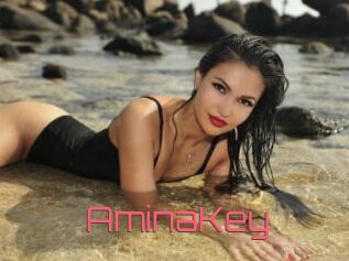 AminaKey