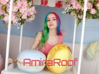 AmiraRoof