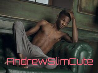 AndrewSlimCute