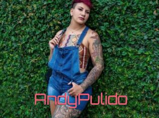 AndyPulido