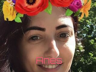 Anes