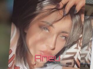 Aneu
