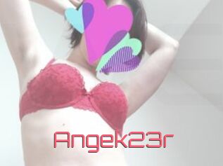 Angek23r