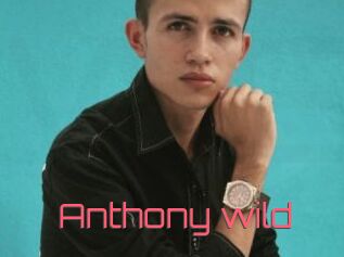 Anthony_wild