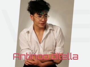 Antinoo_ditella