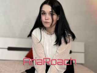 AriaRoach