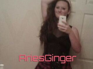 AriesGinger