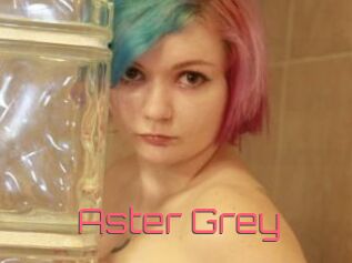 Aster_Grey