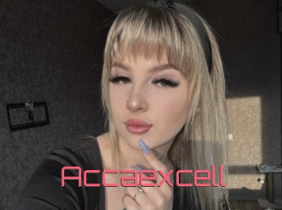 Accaexcell