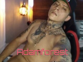 Adamforest