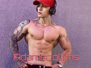 Adamscollims