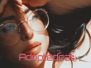 Adoptedcat