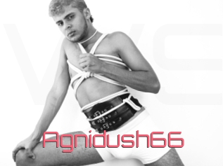 Agnidush66
