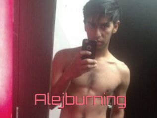 Alejburning