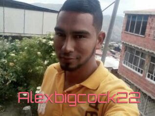 Alexbigcock22