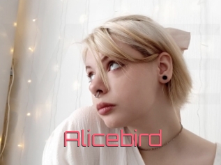 Alicebird