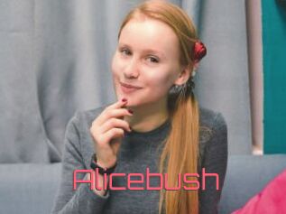 Alicebush