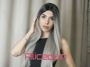 Alicequin