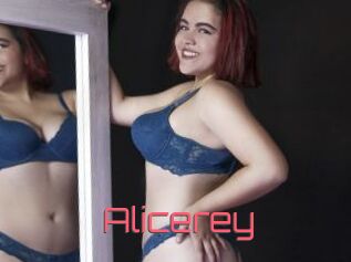 Alicerey