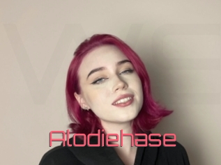 Alodiehase