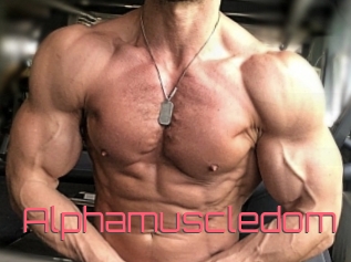 alphamuscledom Webcam Sexe Direct