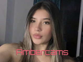 Ambercams