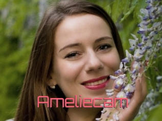 Ameliecam
