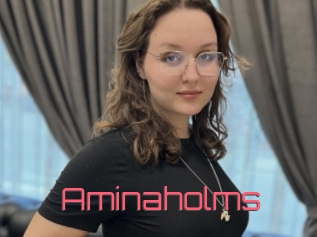 Aminaholms