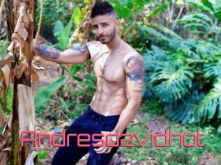 Andresdavidhot