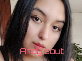 Andy_sout