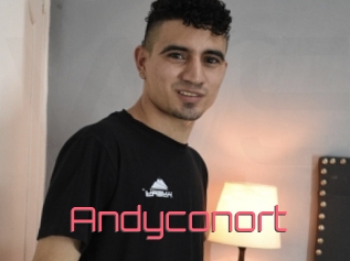 Andyconort