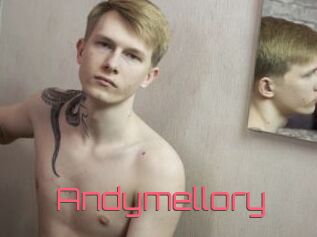 Andymellory