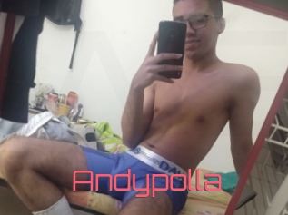 Andypolla