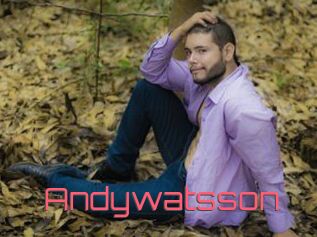 Andywatsson