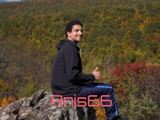 Anis66