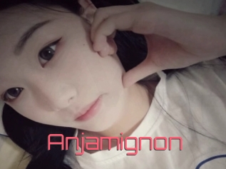 Anjamignon