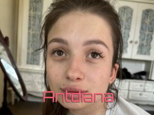 Antdiana