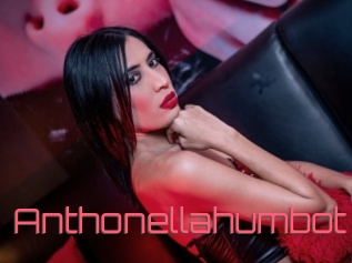 Anthonellahumbot
