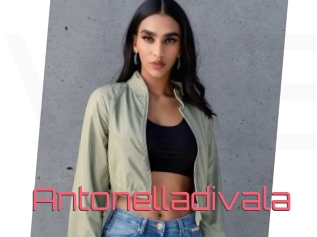 Antonelladivala