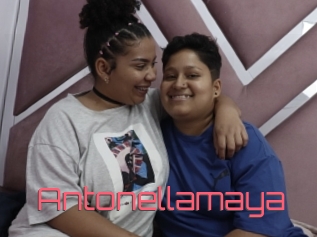Antonellamaya
