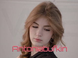 Antoniabufkin
