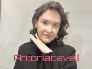 Antoniacavell