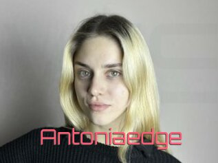 Antoniaedge
